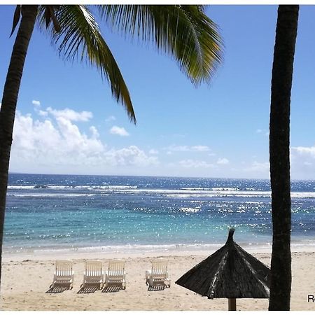 Studio Village Vacances,Vue Mer, Plage A 30M ,Wifi A Sainte Anne 外观 照片