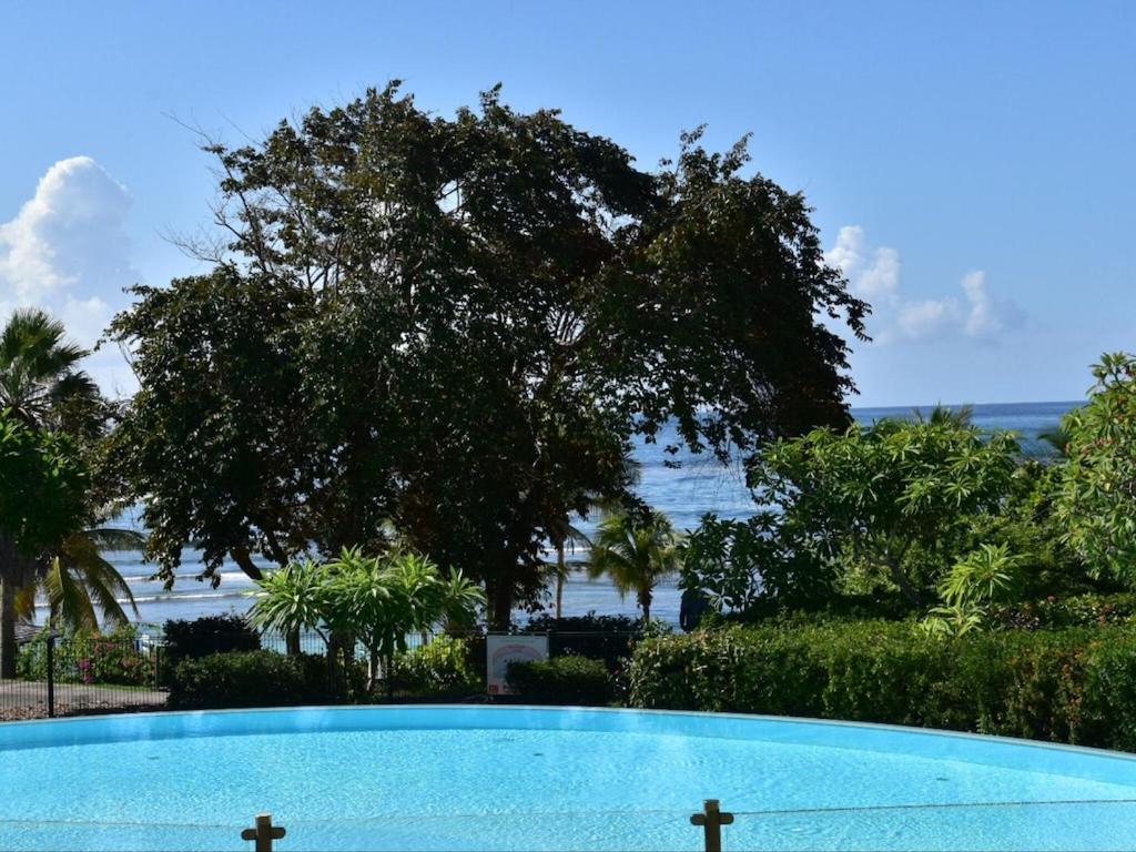 Studio Village Vacances,Vue Mer, Plage A 30M ,Wifi A Sainte Anne 外观 照片