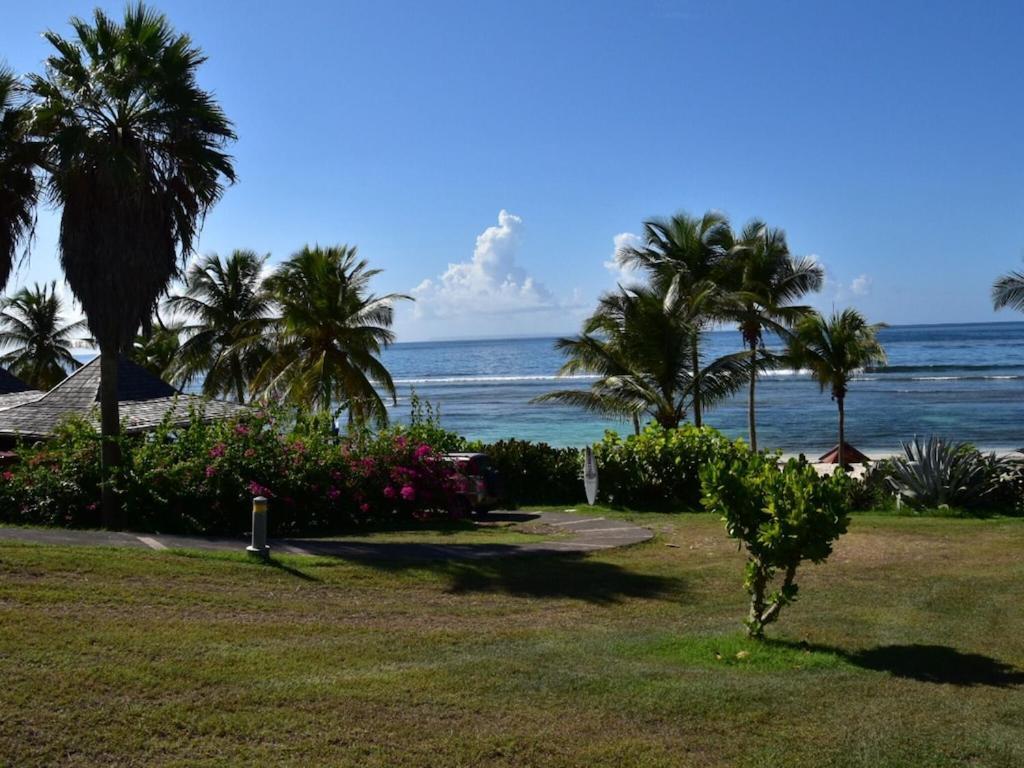 Studio Village Vacances,Vue Mer, Plage A 30M ,Wifi A Sainte Anne 外观 照片