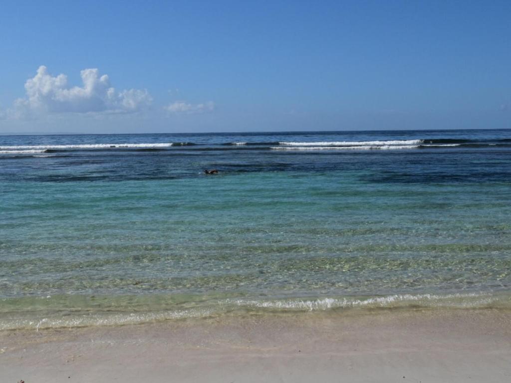 Studio Village Vacances,Vue Mer, Plage A 30M ,Wifi A Sainte Anne 外观 照片