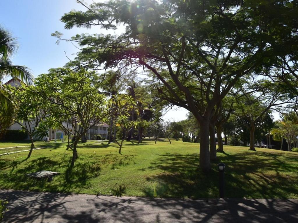 Studio Village Vacances,Vue Mer, Plage A 30M ,Wifi A Sainte Anne 外观 照片
