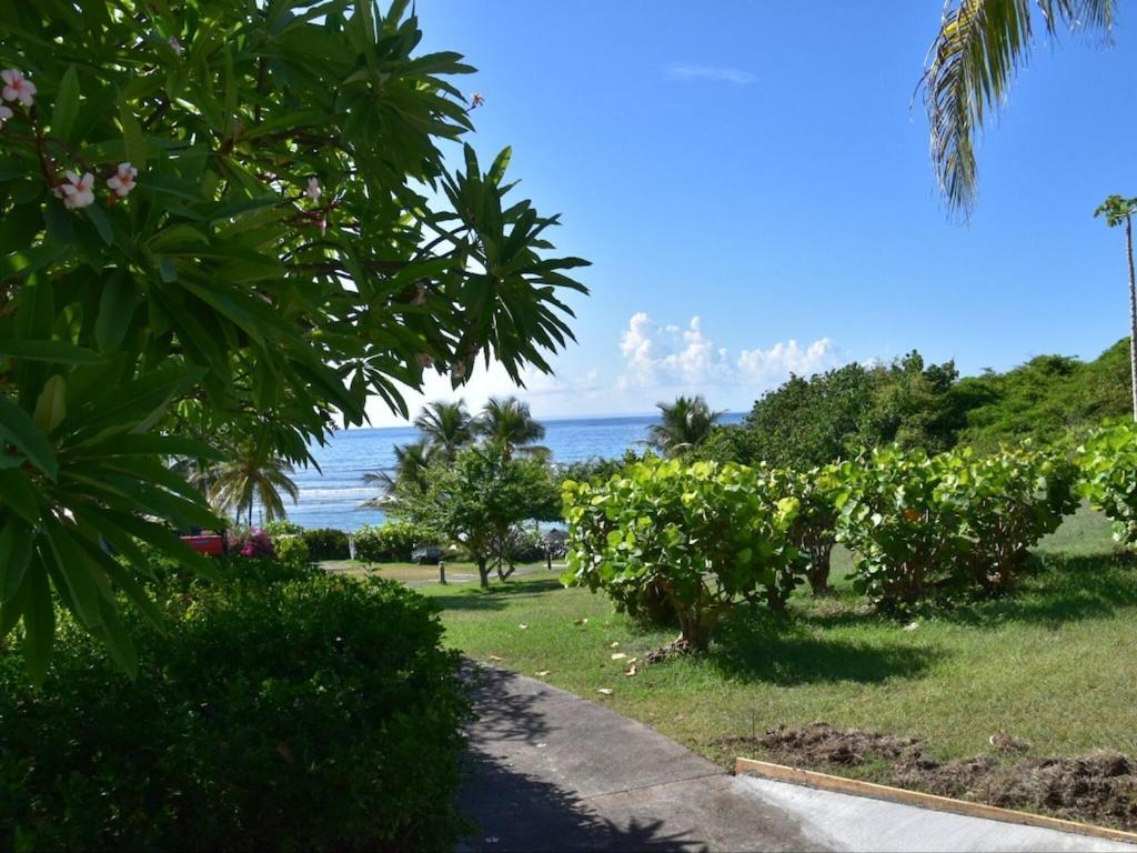 Studio Village Vacances,Vue Mer, Plage A 30M ,Wifi A Sainte Anne 外观 照片