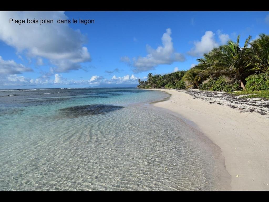 Studio Village Vacances,Vue Mer, Plage A 30M ,Wifi A Sainte Anne 外观 照片