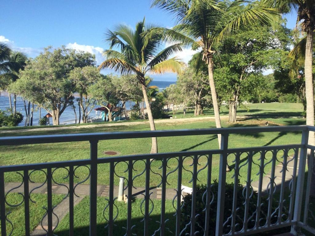 Studio Village Vacances,Vue Mer, Plage A 30M ,Wifi A Sainte Anne 外观 照片